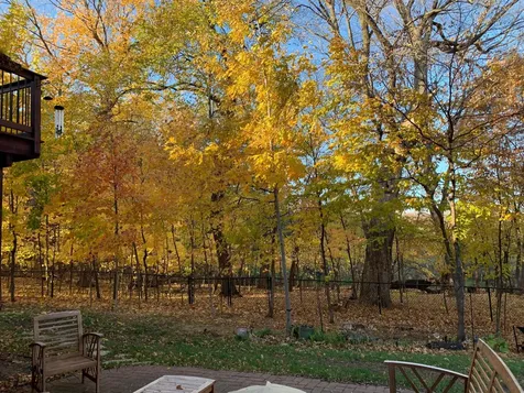 9142 Woodland Drive Saint Bonifacius MN 55375