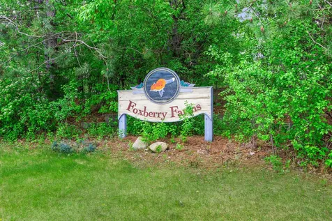 14378 Eagle Street NW Andover MN 55304