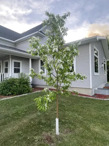 1979 175th Avenue Hallock MN 56728