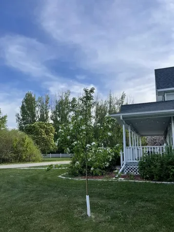 1979 175th Avenue Hallock MN 56728
