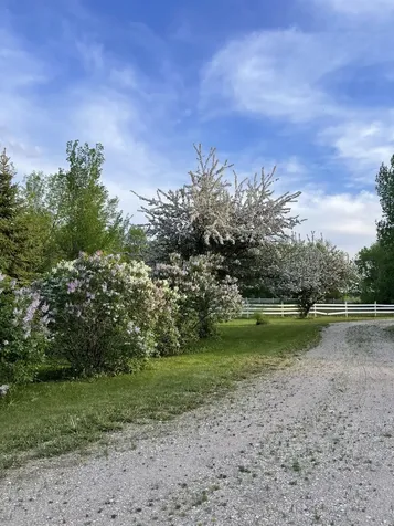 1979 175th Avenue Hallock MN 56728
