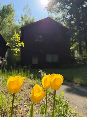 30257 County 37 Laporte MN 56461