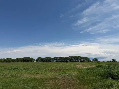 17504 231st Avenue Long Prairie MN 56347