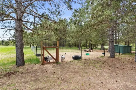 18619 340th Street Menahga MN 56464