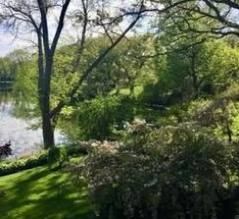 24295 Wood Drive Excelsior MN 55331