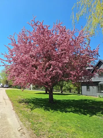 302 N Washington Avenue Battle Lake MN 56515