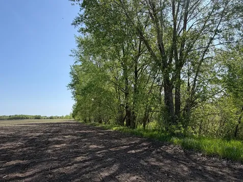 Tbd- 400th Street Twin Valley MN 56584