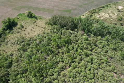 Tbd 400th Street Twin Valley MN 56584