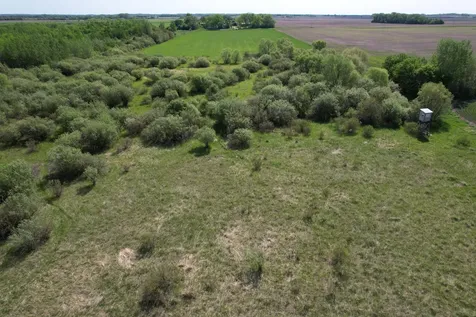 Tbd 400th Street Twin Valley MN 56584