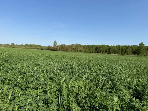 Tbd 400th Street Twin Valley MN 56584