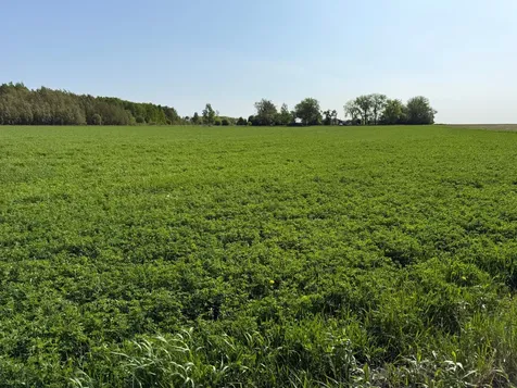 Tbd 400th Street Twin Valley MN 56584