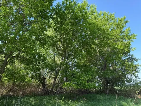 Tbd 400th Street Twin Valley MN 56584