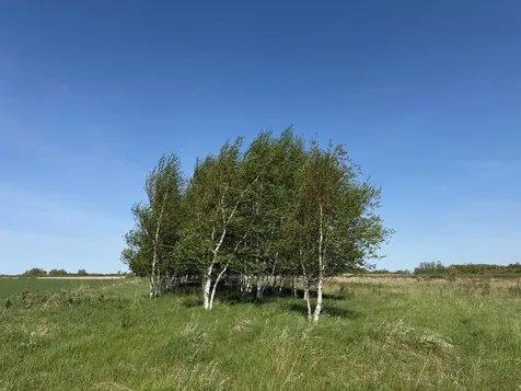 Tbd 400th Street Twin Valley MN 56584