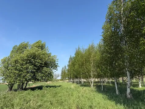 Tbd 400th Street Twin Valley MN 56584