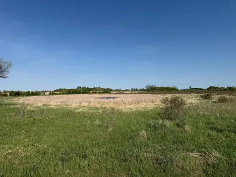 Tbd 400th Street Twin Valley MN 56584