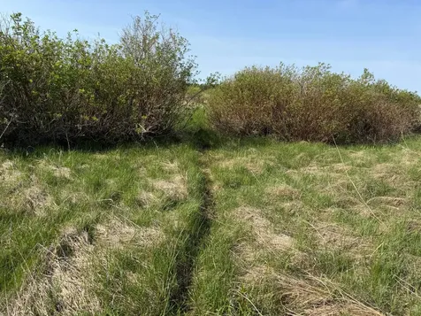 Tbd 400th Street Twin Valley MN 56584