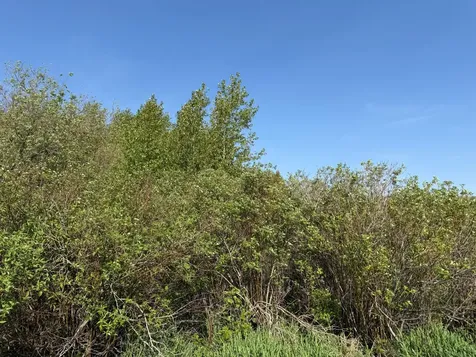 Tbd 400th Street Twin Valley MN 56584