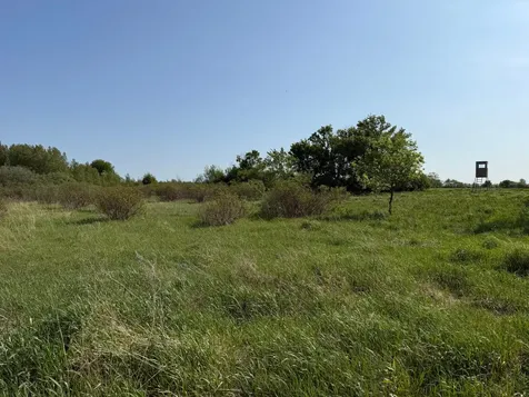 Tbd 400th Street Twin Valley MN 56584