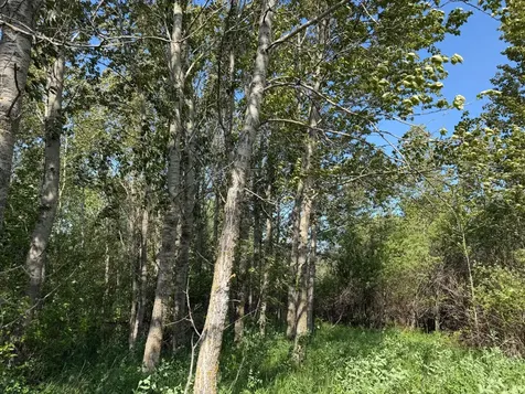 Tbd 400th Street Twin Valley MN 56584