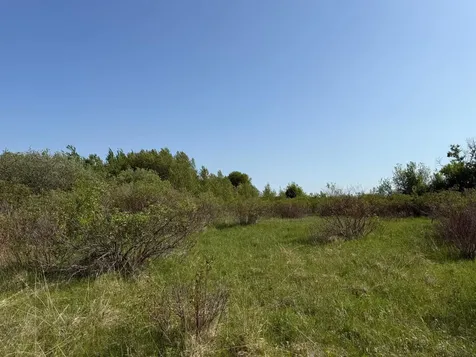 Tbd 400th Street Twin Valley MN 56584