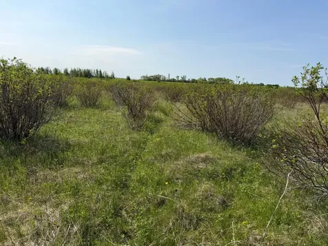 Tbd 400th Street Twin Valley MN 56584