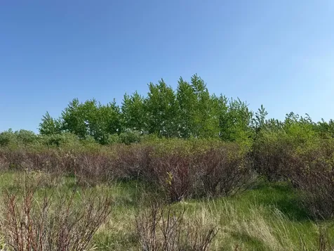 Tbd 400th Street Twin Valley MN 56584