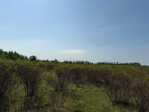 Tbd 400th Street Twin Valley MN 56584