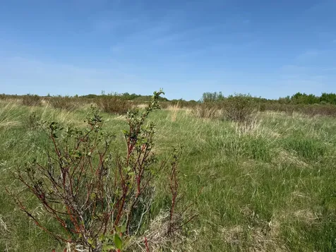 Tbd 400th Street Twin Valley MN 56584
