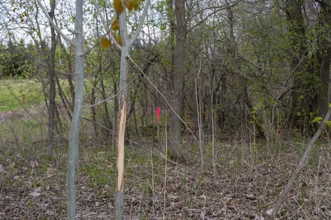 Parcel A - 20ac 465th Street Sunrise Twp MN 55032