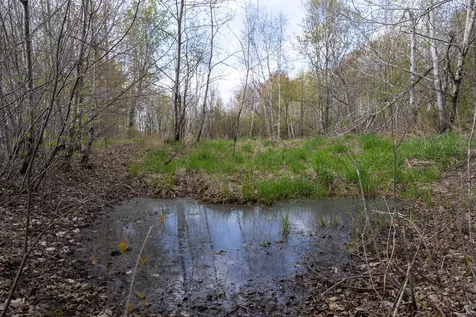 TBD-38AC 465th Street Sunrise Twp MN 55032