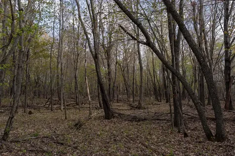 TBD-38AC 465th Street Sunrise Twp MN 55032