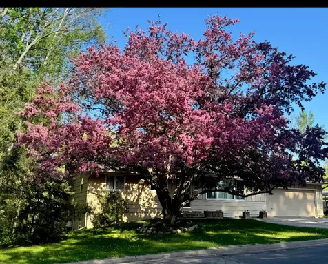 520 SW 5th Avenue Grand Rapids MN 55744