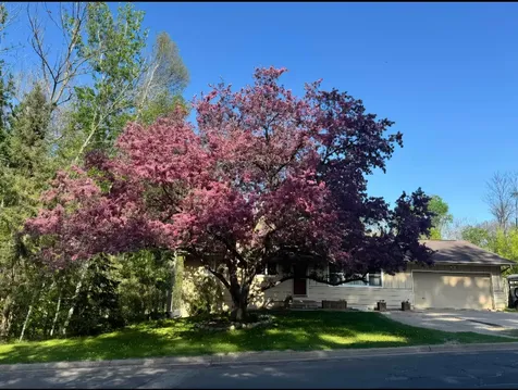 520 SW 5th Avenue Grand Rapids MN 55744