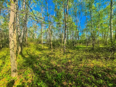 Tbd Heather Trail Nevis MN 56467