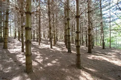 Tbd Nueman Trail Lindstrom MN 55045