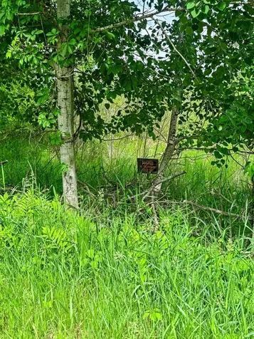 0000 Paradise Trail NW Isanti MN 55040