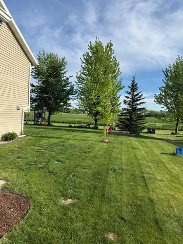 907 11th Avenue SE Barnesville MN 56514