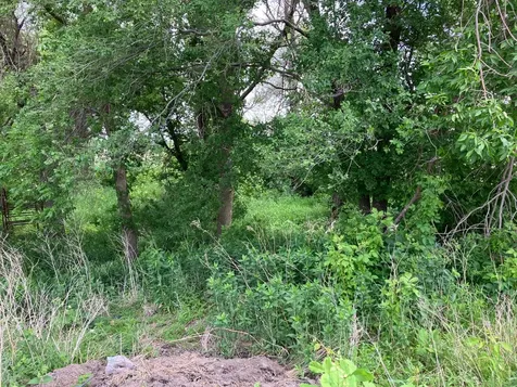3598 W Highway 30 Ellendale MN 56026