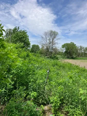 3598 W Highway 30 Ellendale MN 56026