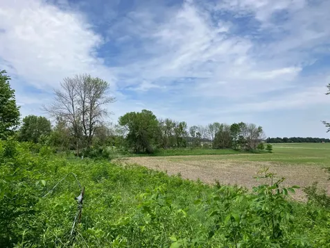 3598 W Highway 30 Ellendale MN 56026