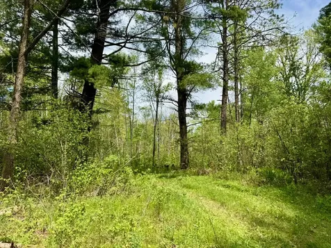 Xyz County Road 39 Willow River MN 55795
