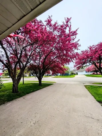 630 Appletree Lane Moorhead MN 56560