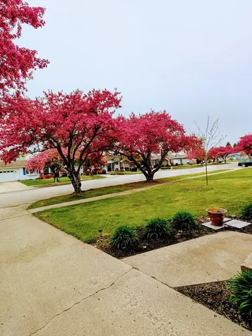 630 Appletree Lane Moorhead MN 56560