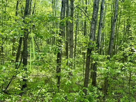 Xyz Dailey Lake Road Willow River MN 55795