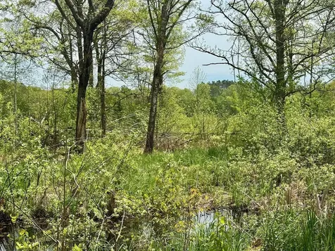 Xyz Dailey Lake Road Willow River MN 55795