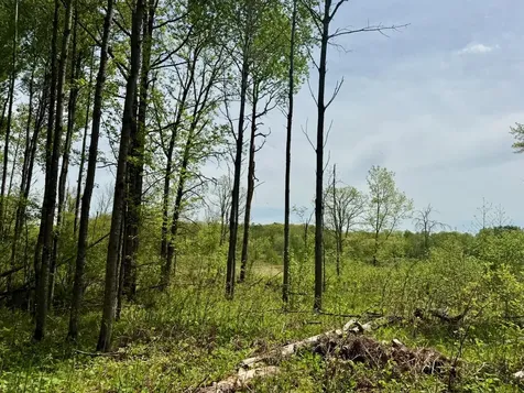 Xyz Dailey Lake Road Willow River MN 55795