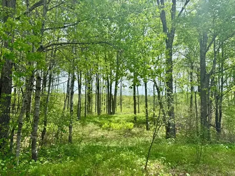 Xyz Dailey Lake Road Willow River MN 55795