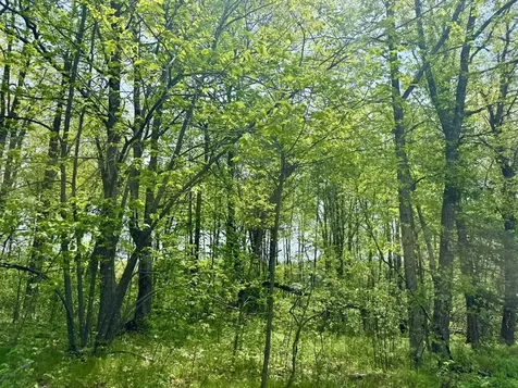 Xyz Dailey Lake Road Willow River MN 55795