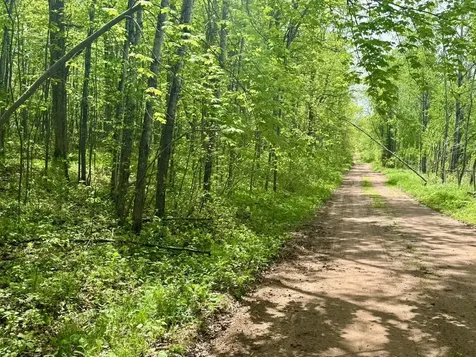 Xyz Dailey Lake Road Willow River MN 55795
