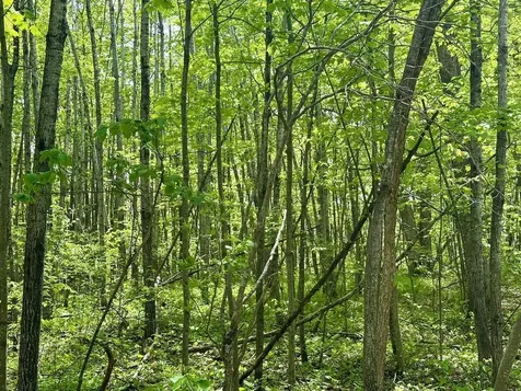 Xyz Dailey Lake Road Willow River MN 55795